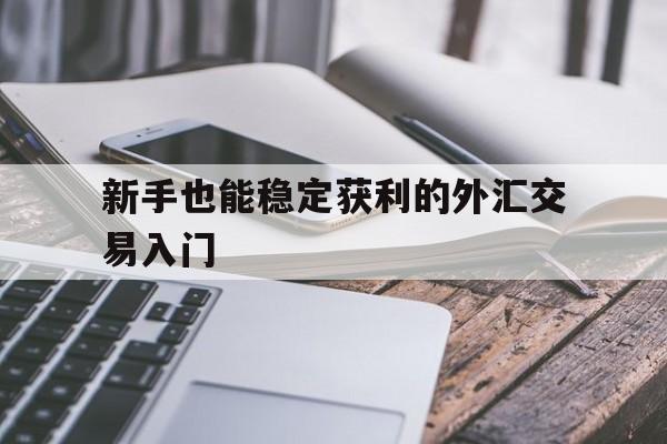 关于新手也能稳定获利的外汇交易入门的信息