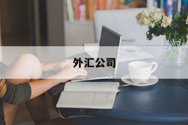 外汇公司(外汇公司合法吗)